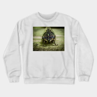 Canadian Cicada Crewneck Sweatshirt